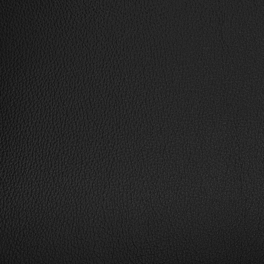 Black BN1064 leather swatch