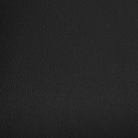 Black BN1064 leather swatch