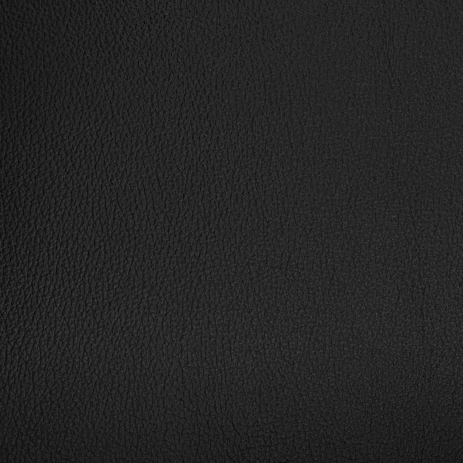 Black BN1064 leather swatch