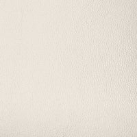 Light grey BN3181 PU swatch