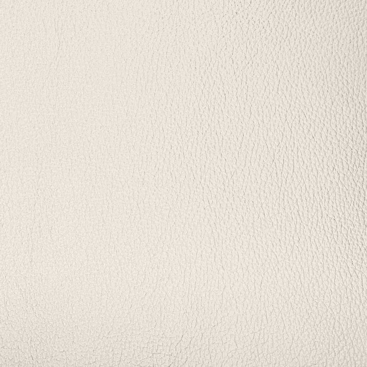 Light grey BN3181 PU swatch
