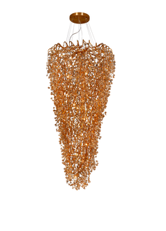 Oro champagne