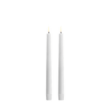 Nordic White