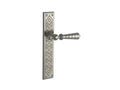 Porte lever handles set on plates - 0A4875