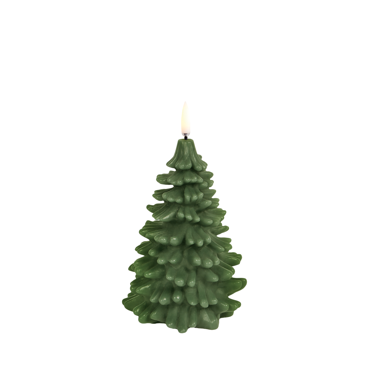 Olive Vert