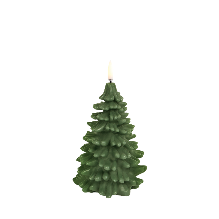 Olive Vert