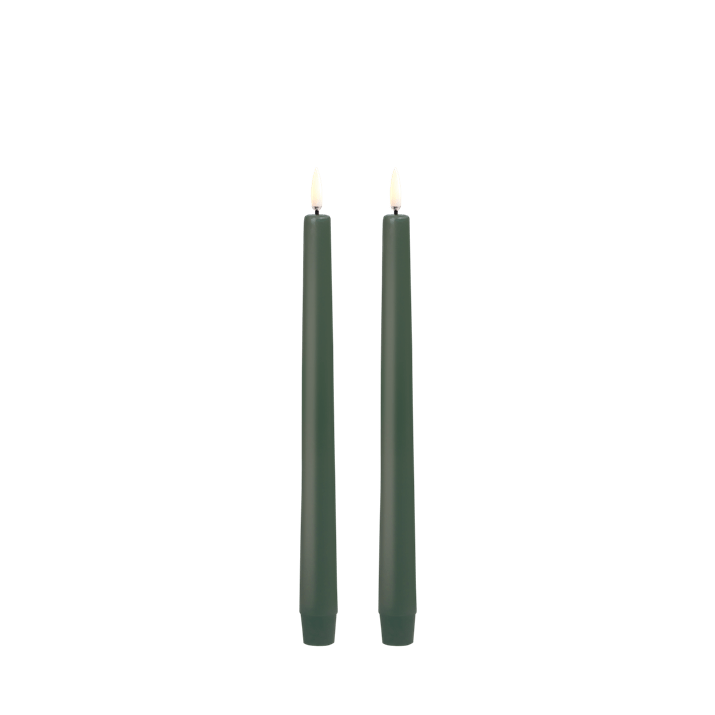 Olive Vert