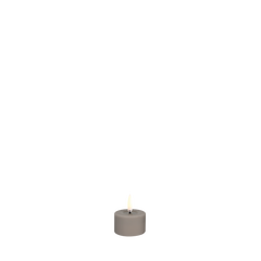Arenaria