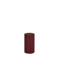 Wine Rot