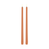 Aprikose