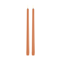 Aprikose