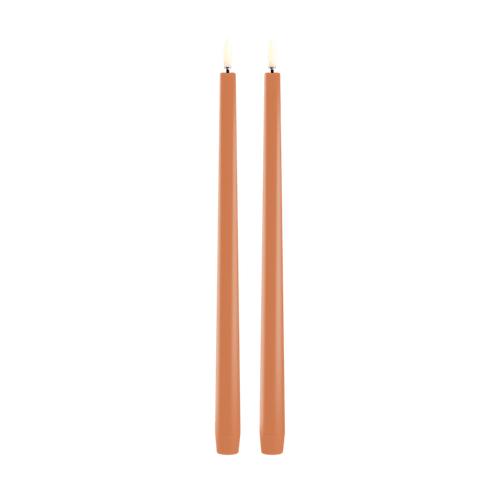 Aprikose