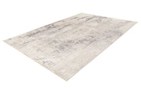 Low-Pile Rug - Norven Silver Distressed 3