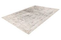 Low-Pile Rug - Norven Silver Distressed 4