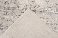 Low-Pile Rug - Norven Silver Distressed 4