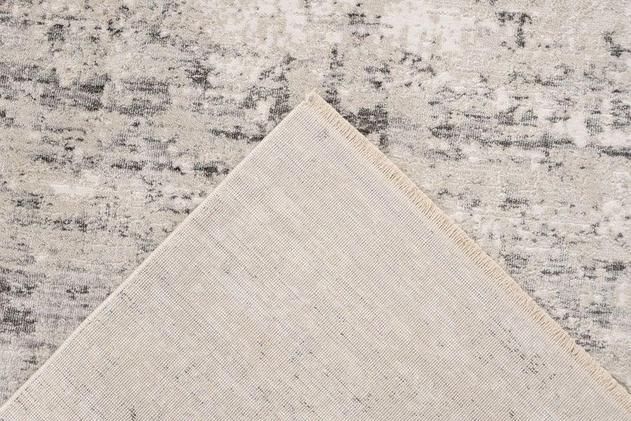 Low-Pile Rug - Norven Silver Distressed 4