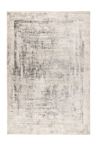 Low-Pile Rug - Norven Silver Distressed 4